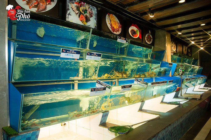 Các bể hải sản giúp cá song luôn tươi sống, thực khách hoàn toàn được lựa chọn nguyên liệu bàn tiệc cho mình tại đây.